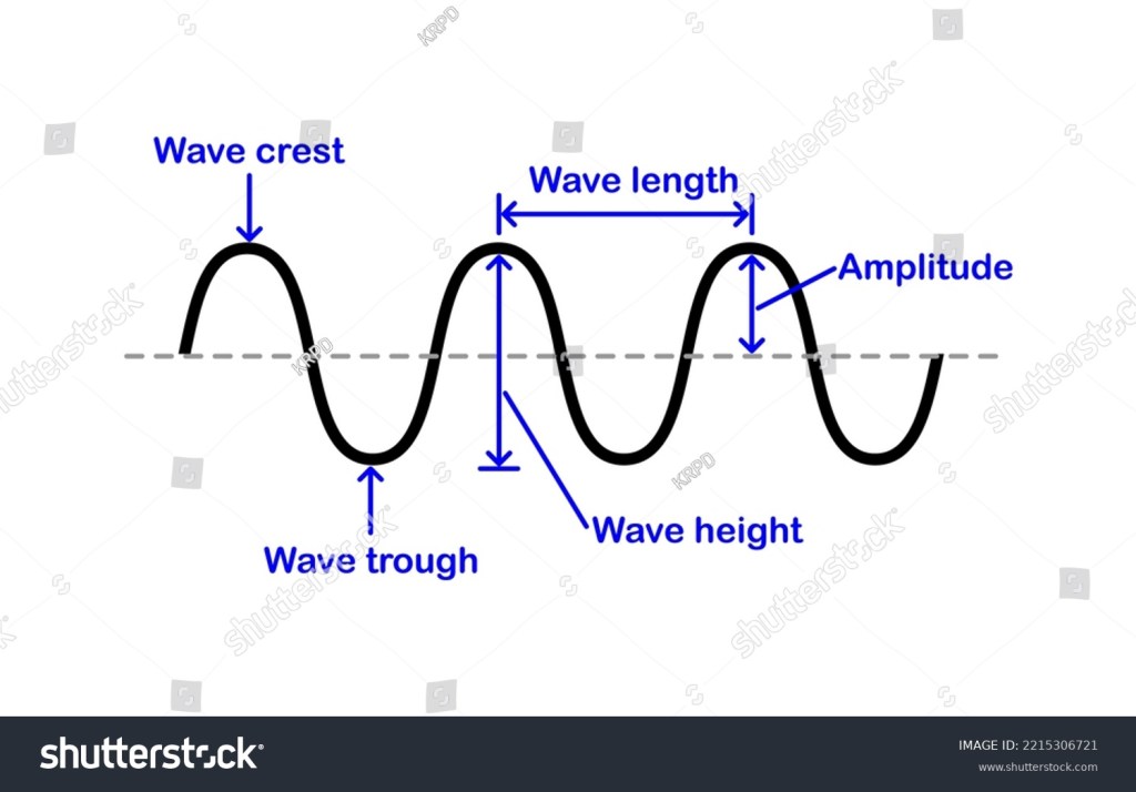 A labeled diagram of a wave showing wave crest, trough, wavelength, amplitude, and wave height.